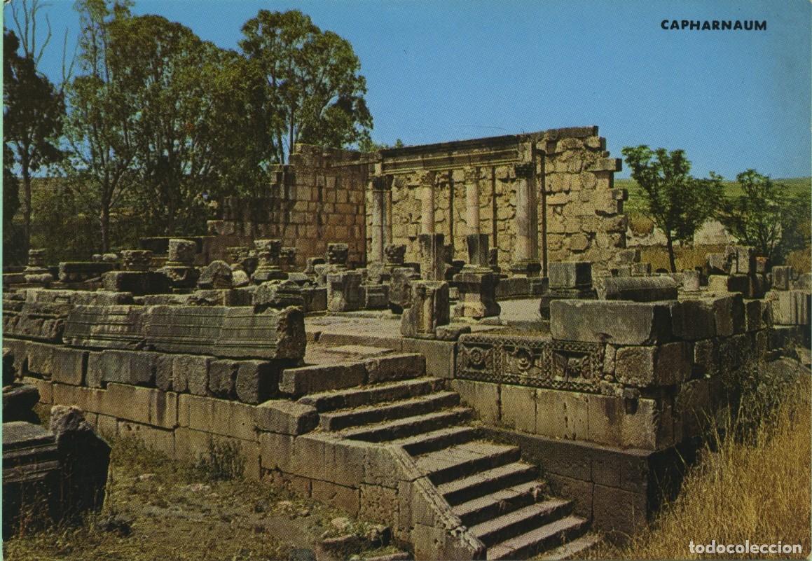 Postales: N&ordm; 8357-CAFARNAUM. Antigua Sinagoga. Israel. Vista parcial. Sin circular. ED. PALPHOT