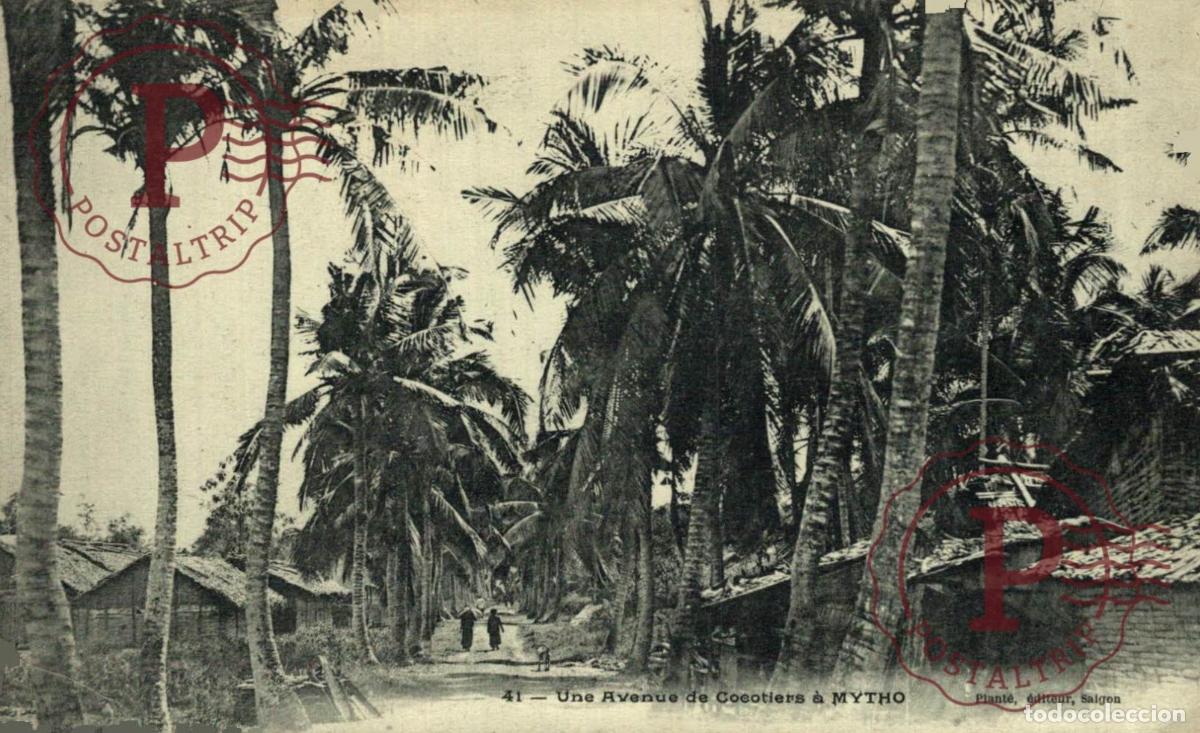 Postales: VIETNAM. MYTHO - UNE AVENUE DE COCOTIERS