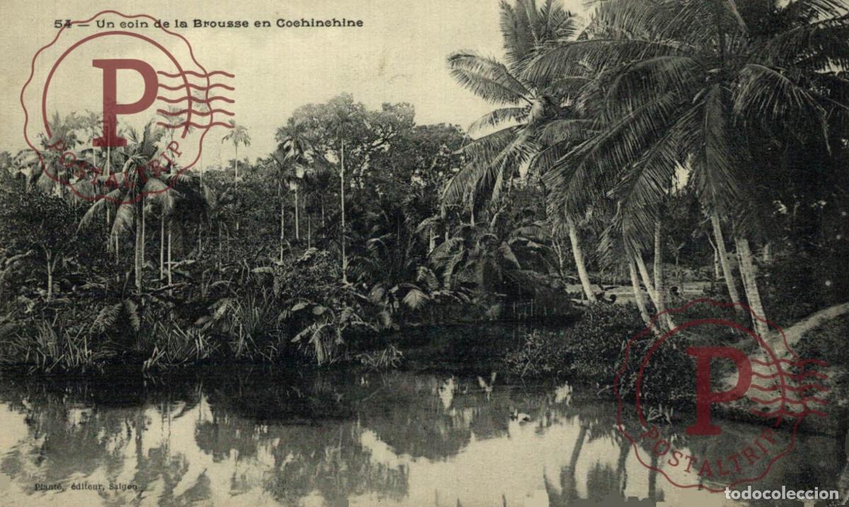 Postales: VIETNAM. VIET NAM. Un coin de la brousse en Cochinchine