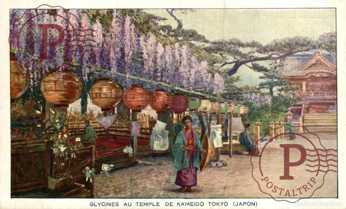 Cartes Postales: JAPON. JAPAN. Glycines au temple de Kameido Tokyo