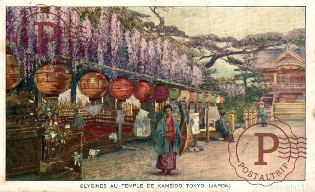 Postales: JAPON. JAPAN. Glycines au temple de Kameido Tokyo