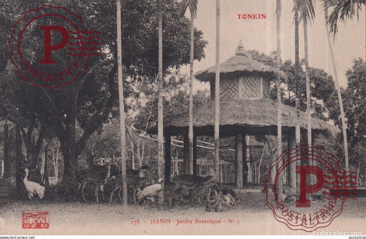 Postales: VIETNAM. TONKIN. HANO&Iuml;, jardin botanique