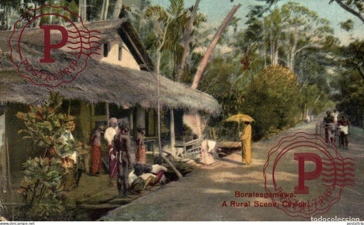 Postales: SRI LANKA CEYLON - CEYLAN. BORALESGAMUWA : Rural sc&egrave;ne
