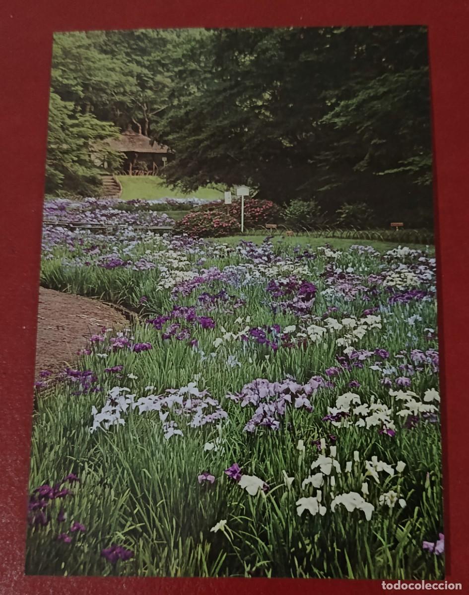 Postales: JARDIN DE LOS LIRIOS - SANTUARIO MEIJI - TOKYO - JAP&Oacute;N 1960