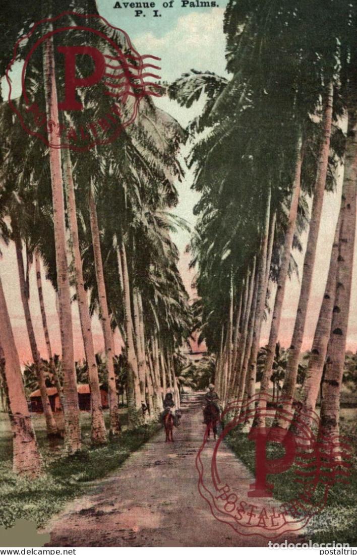 Postais: FILIPINAS. PHILIPPINES. AVENUE OF PALMS.