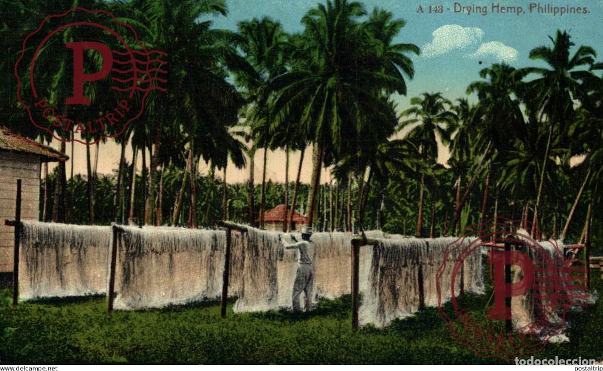 Postais: FILIPINAS. PHILIPPINES. DRYING HEMP