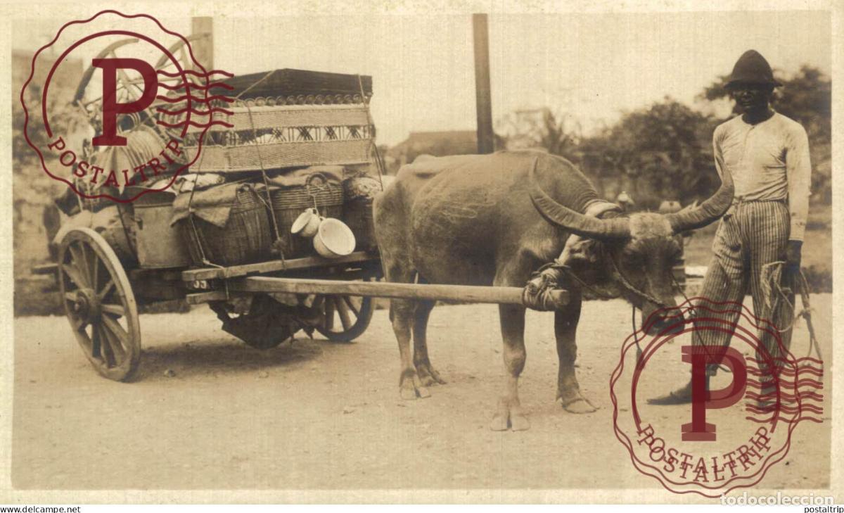 Postales: FILIPINAS. PHILIPPINES. RPPC. - Foto 1