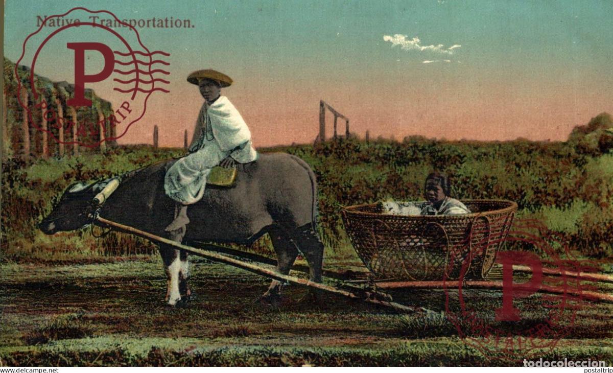 Postales: FILIPINAS. PHILIPPINES. NATIVE TRANSPORTATION.