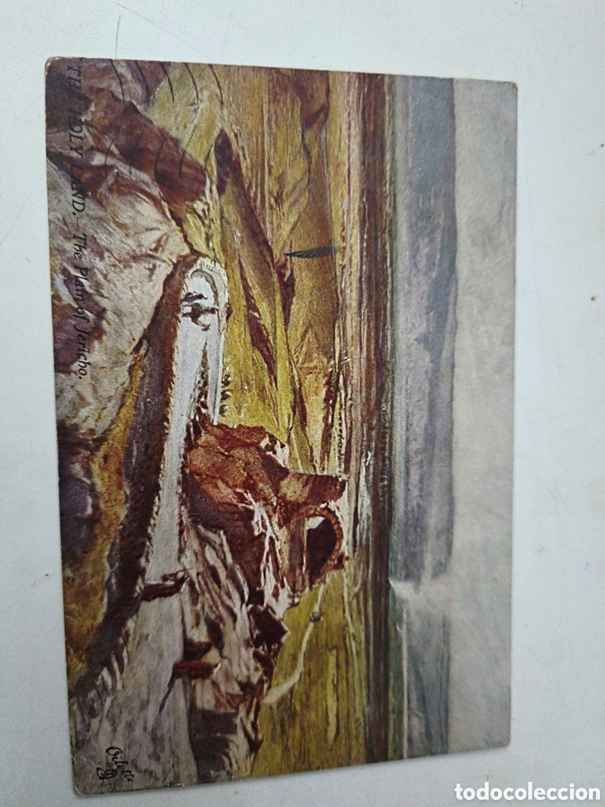 Cartoline: Postal The plain of Jericho