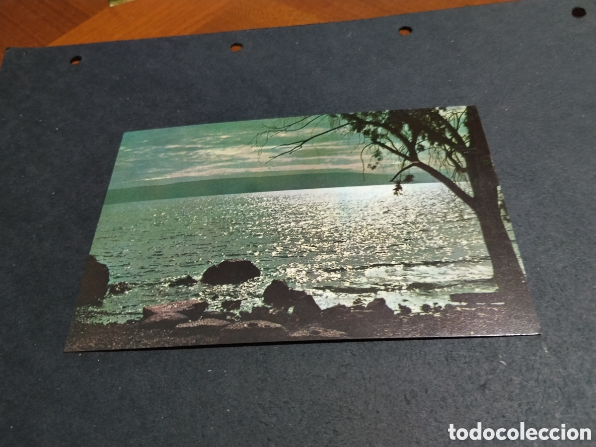 Postales: Postal Lago de Tiberias, Israel