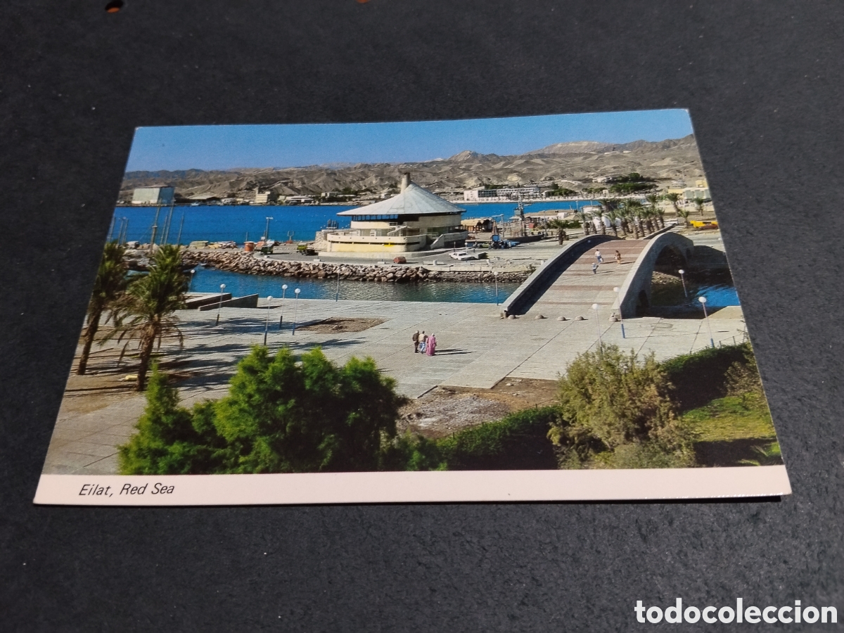 Postales: Postal Eilat, Red Sea, Israel
