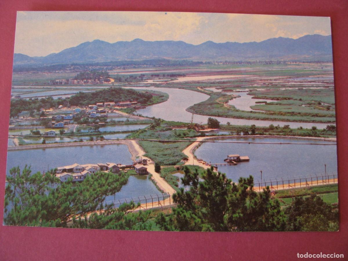 Cartoline: POSTAL DE HONG KONG. LOK MA CHAU