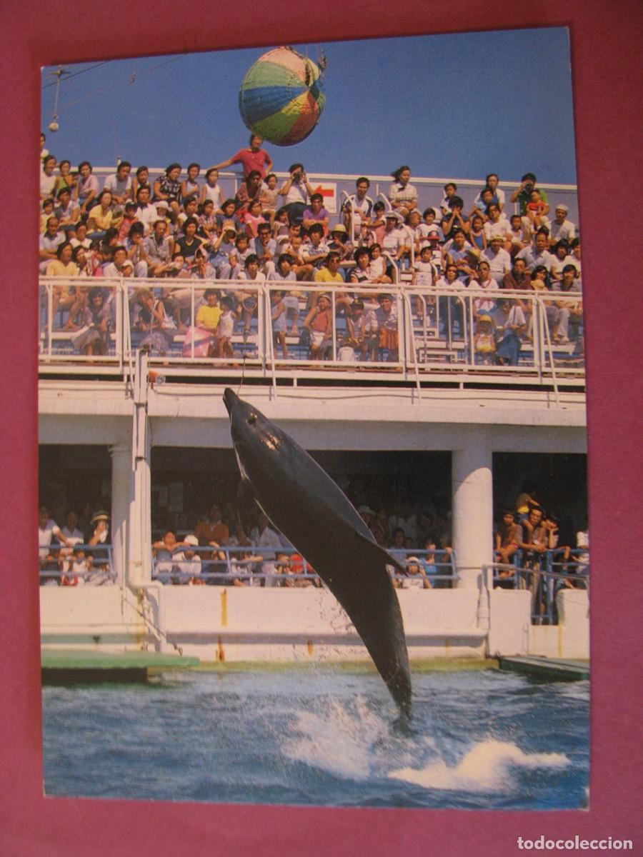 Postcards: POSTAL DE JAPON. MARINE LAND, ENOSHIMA ISLAND
