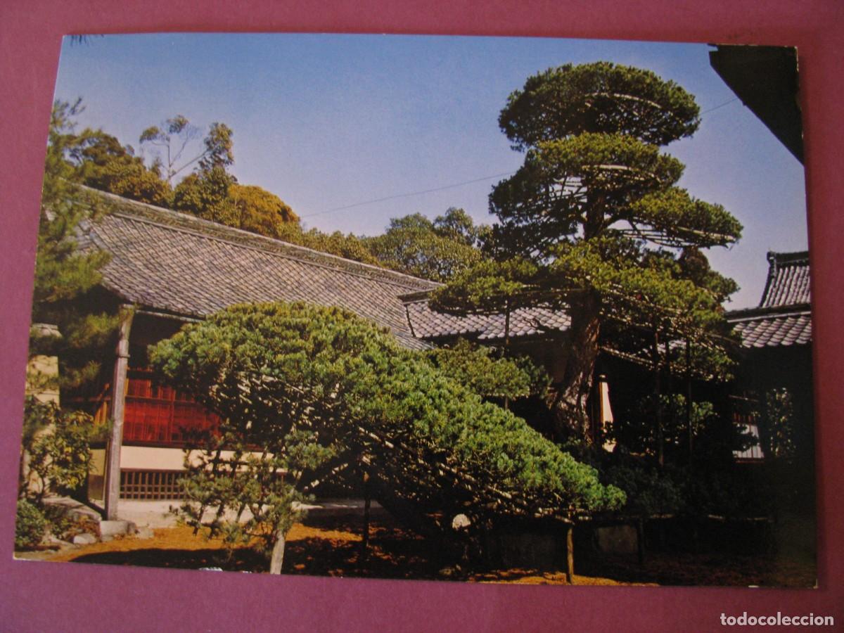 Postales: POSTAL DE JAPON. PINO CON FORMA DE BARCO, KIOTO