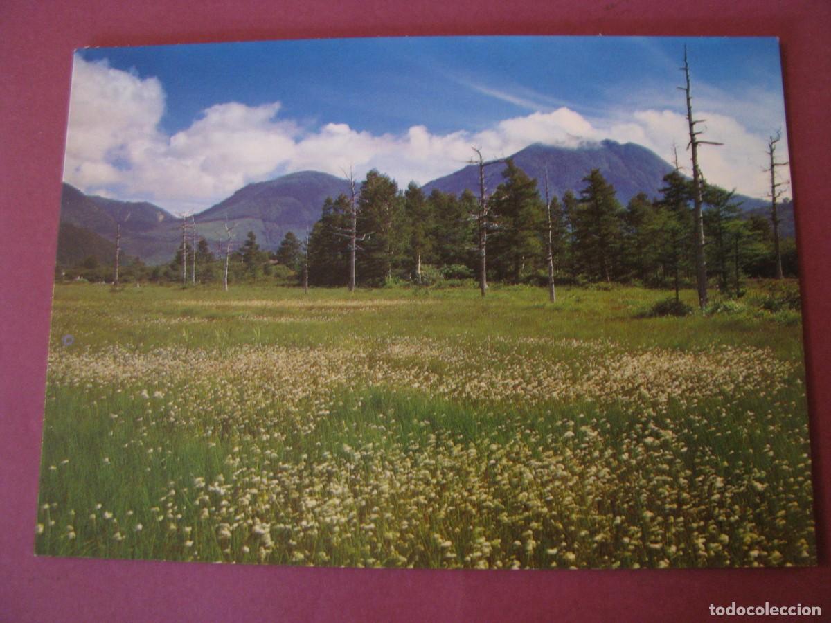 Postales: POSTAL DE JAPON. PANTANO SENJOGAHARA PARQUE NACIONAL NIKKO