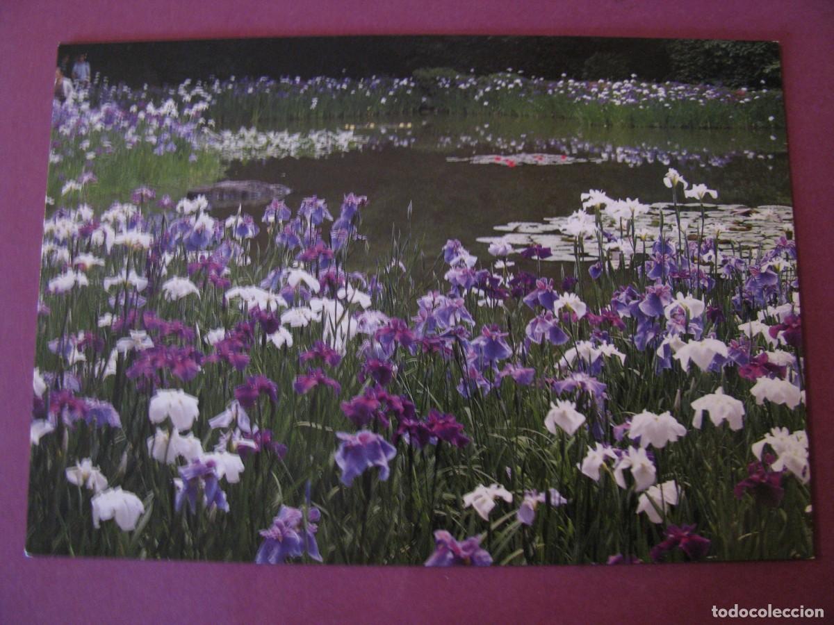 Cartoline: POSTAL DE JAPON. JARDIN SHINEN SANTUARIO HEIAN JINGU KIOTO