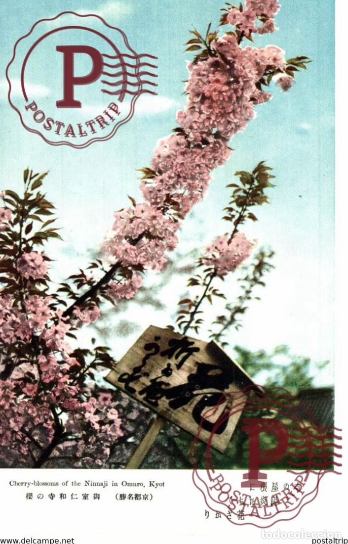 Postcards: Cherry-Blossoms of the Ninnaji in Omuro Kyot JAP&Oacute;N JAPAN