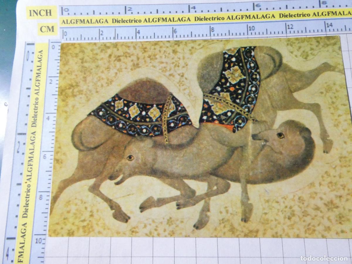 Postais: POSTAL DE INDIA. ARTE CAMEL FIGHT 1600 APROX. 805