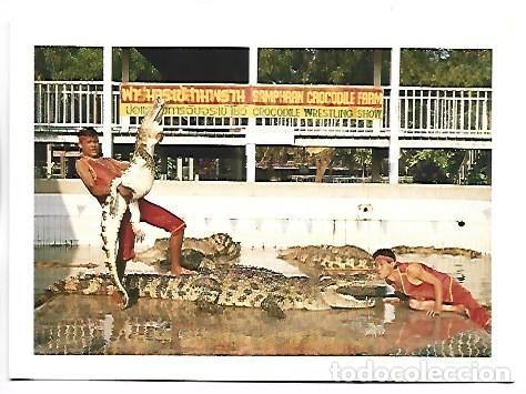 Postales: CROCODILE WRESTLING SHOW AT SAMPHRAM GROUND AND ZOO.- THAILAND