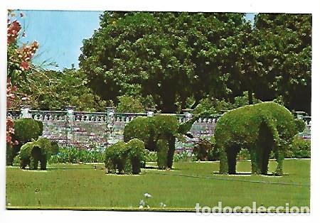 Postales: THE ELEPHANTS MADE IN LIVING TREES AT BANG PA-IN PALACE NEAR AYUDHYA.- THAILAND