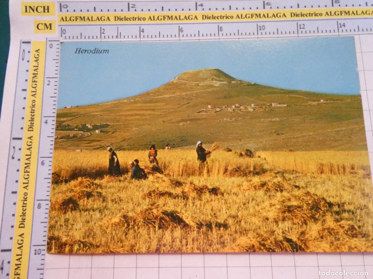 Postales: POSTAL DE ISRAEL. HERODION &Aacute;RABES COSECHANDO JUNTO FORTALEZA REY HERODES. 2984