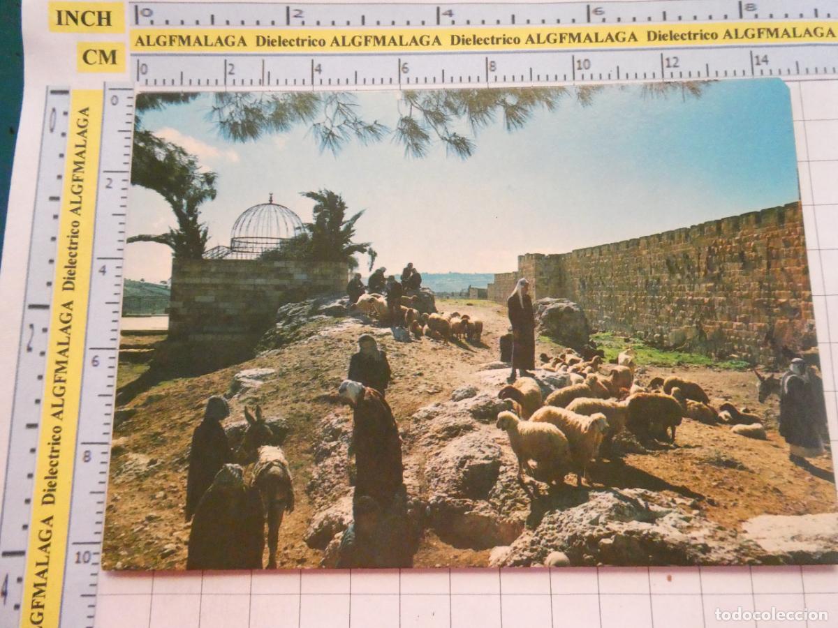Postales: POSTAL DE ISRAEL. JERUSALEN JERUSALEM MERCADO DE GANADO EN LA MURALLA DE LA ANTIGUA CIUDAD. 2995