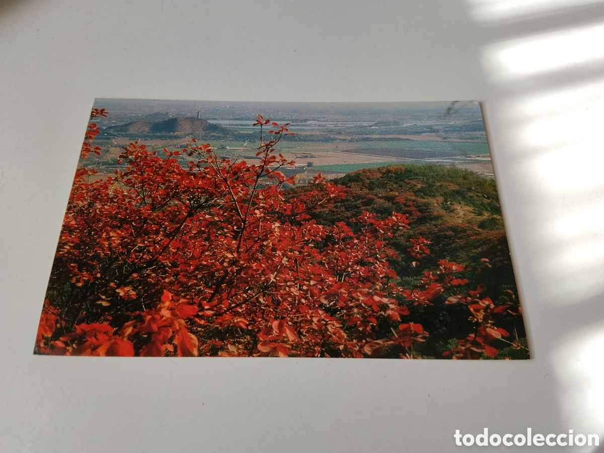 Postales: Postal parque China .... - Foto 1