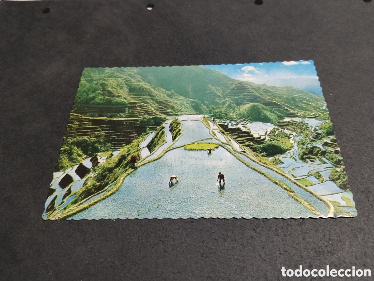 Postales: Postal filipinas terrazas arroz