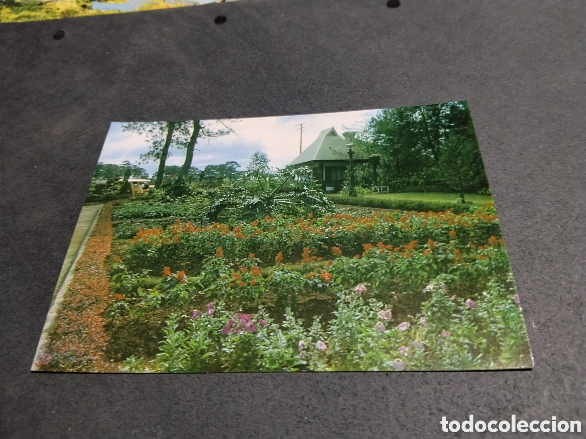 Postales: Postal sunshine Park filipinas