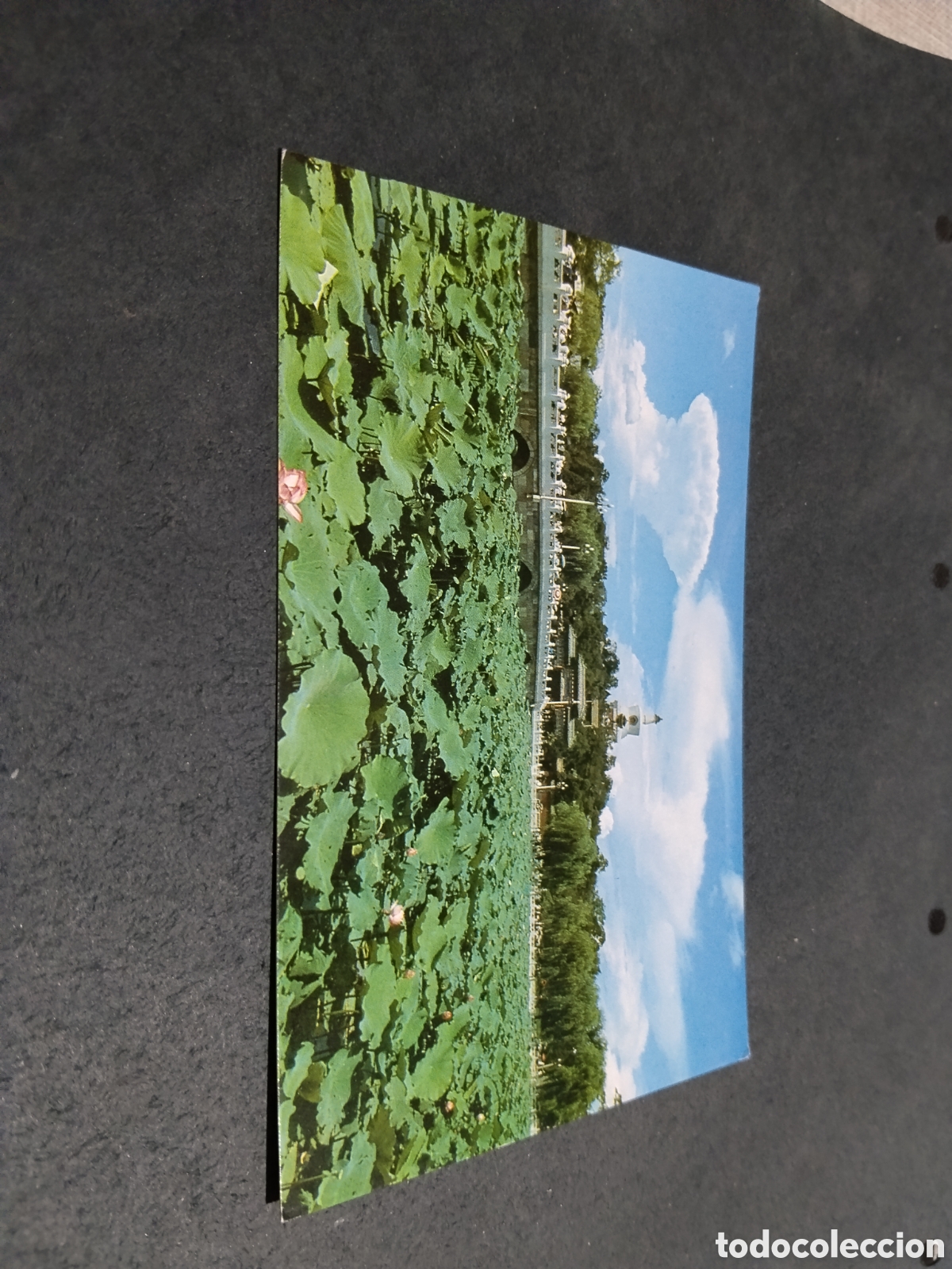 Postales: Postal beihai Park......