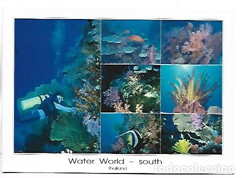 Postales: WATER WORLD - SOUTH.- THAILAND / TAILANDIA
