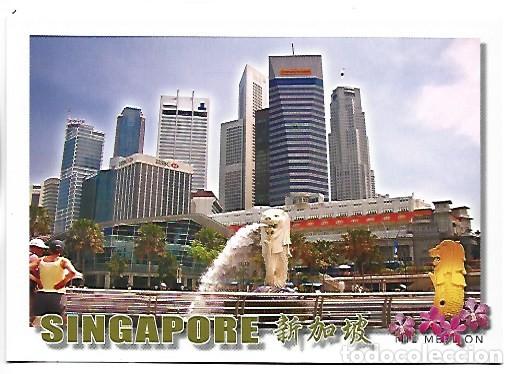 Postales: THE MERLION PARK.- SINGAPORE