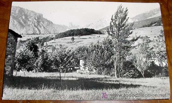 Postais: ANTIGUA POSTAL DE POO DE CABRALES - ASTURIAS - NARANJO DE BULNES - NO CIRCULADA.