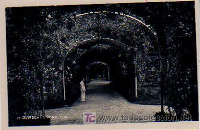 Postales: OVIEDO. LA ROSALEDA. - Foto 1
