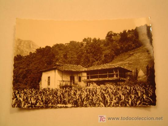 Postales: Postal de Oviedo. - Foto 1