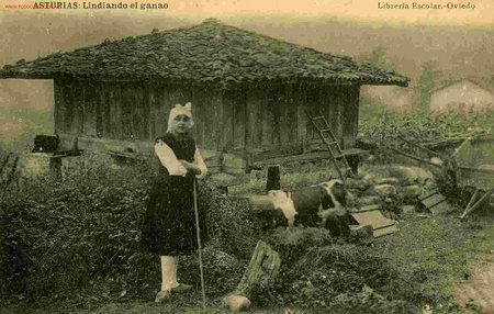 Postales: COSTUMBRES ASTURIANAS - Foto 1