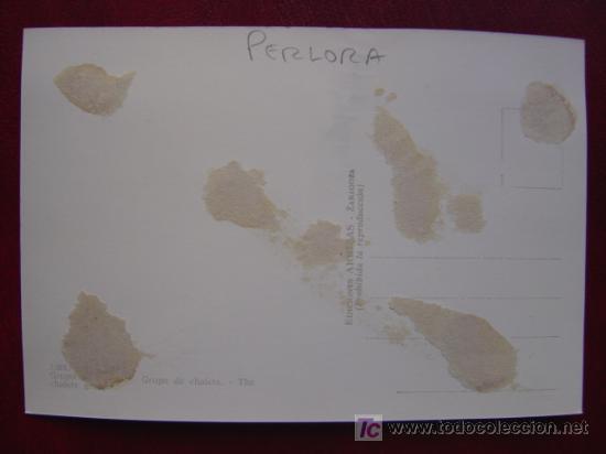 Postales: PERLORA - Foto 2