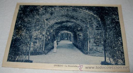 Postkarten: ANTIGUA POSTAL DE OVIEDO - LA ROSALEDA - EDICIONES ARRIBAS -  DE CONSERVACION - NO CIRC