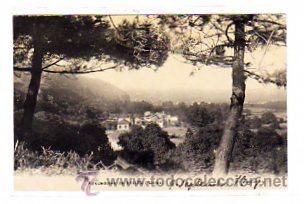 Postcards: Asturias. Aviles. Alrededores de Avil&eacute;s. Raices. F. Fernandez C&aacute;mara. Escrita.