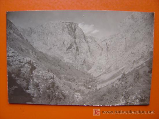 Postales: CABRALES - Foto 1