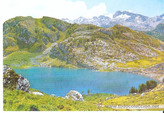 Postales: POSTAL DE COVADONGA - LAGO ENOL - Foto 1
