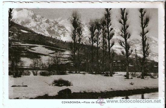 Postales: POSTAL DE COVADONGA - Foto 1
