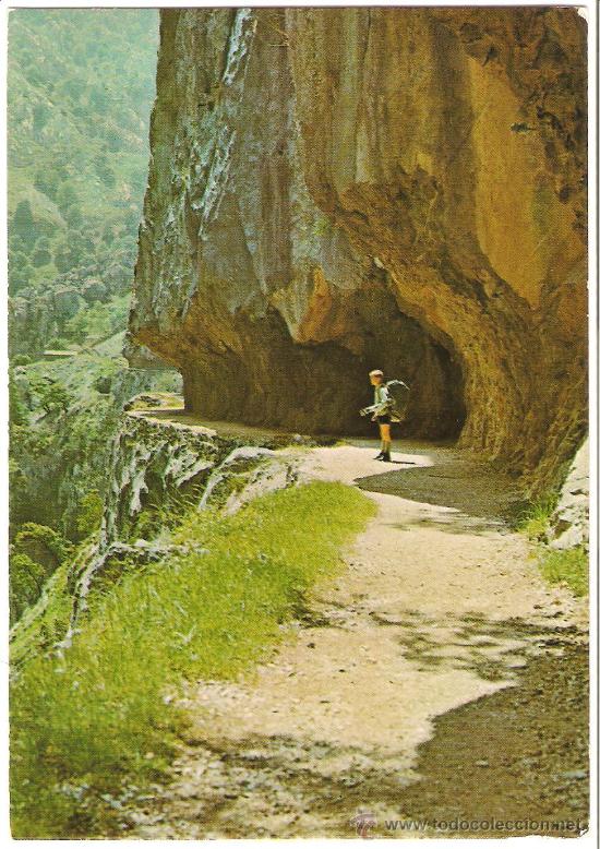 Postales: CARES. ASTURIAS - Foto 1