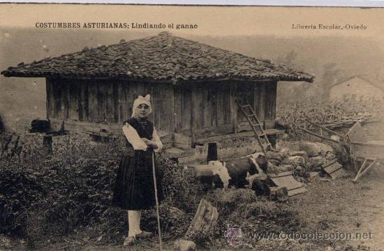 Postcards: COSTUMBRES ASTURIANAS.-LINDIANDO EL GANAO