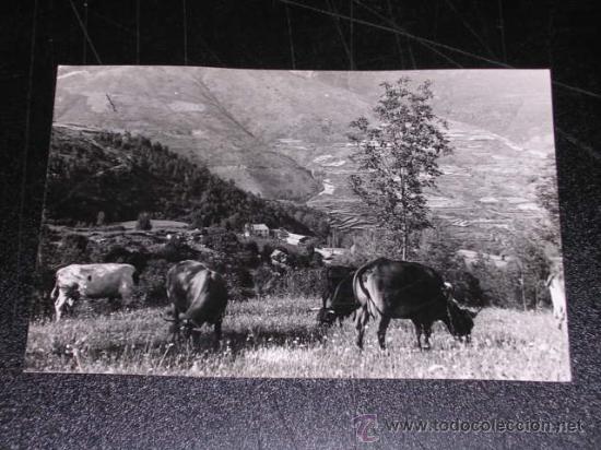 Postales: NAVA ( VALL DE RIBES ) - Foto 1