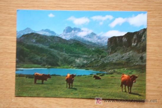 Postales: Covadonga. Lago de la Ercina. - Foto 1