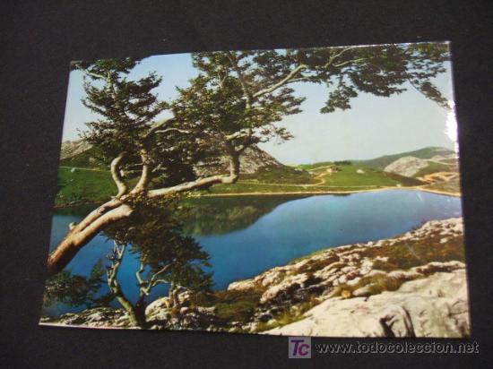 Postales: LAGO ENOL - COVADONGA - - Foto 1