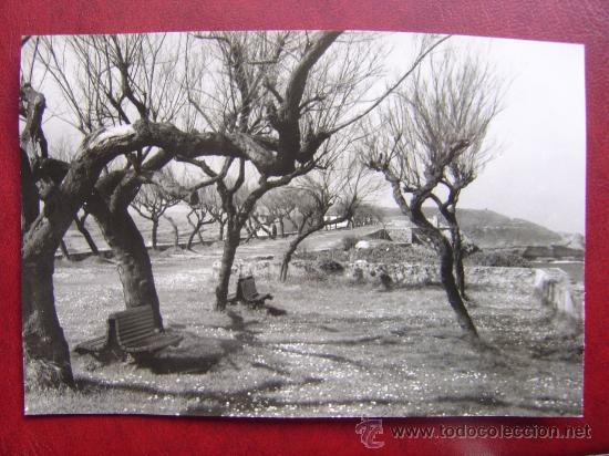Postales: LLANES - PASEO DE SAN PEDRO - Foto 1