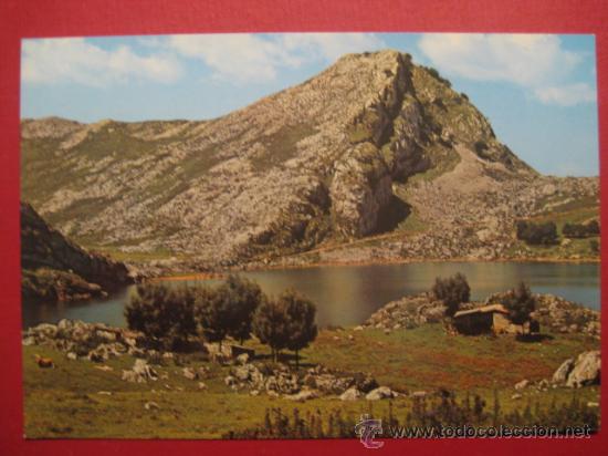 Postales: COVADONGA - REF.: R-8-65 - Foto 1