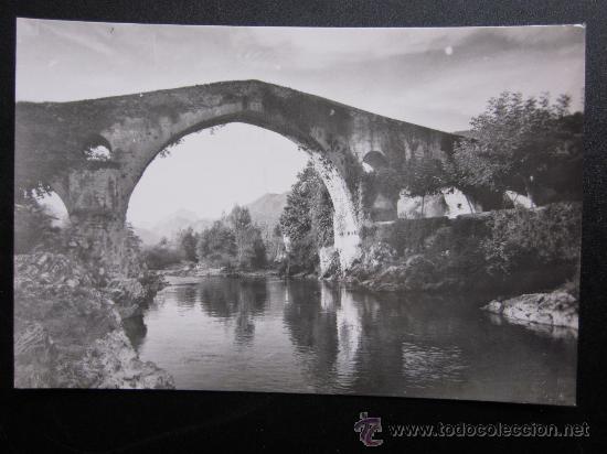 Postales: CANGAS DE ONIS - REF.: T-849 - Foto 1